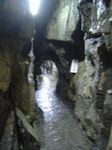 DSC01637a.jpg